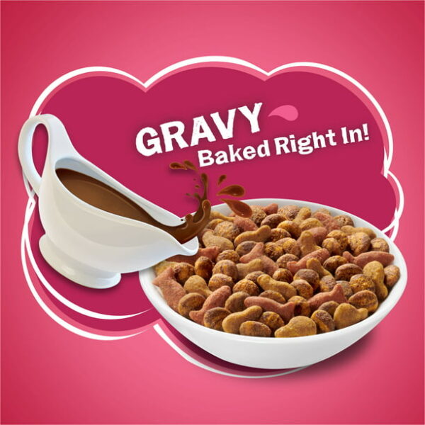 Friskies Gravy Swirlers Chicken & Salmon Dry Cat Food - Image 3