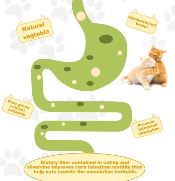Catnip Ball for Cats Wall, 4 Pack, Silvervine Balls, Edible Toys, Lick Safe Healthy Kitten - Image 2