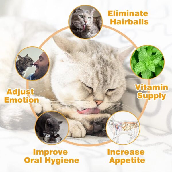 Catnip Ball for Cats Wall, 4 Pack, Silvervine Balls, Edible Toys, Lick Safe Healthy Kitten - Image 3