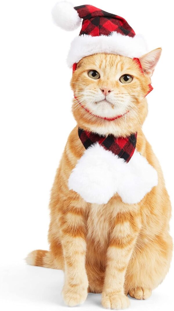 Merry Makings Mrs. Claus Cat Set Necessary For Your Beloved Cats