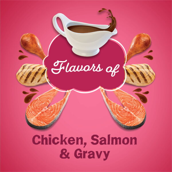 Friskies Gravy Swirlers Chicken & Salmon Dry Cat Food - Image 4